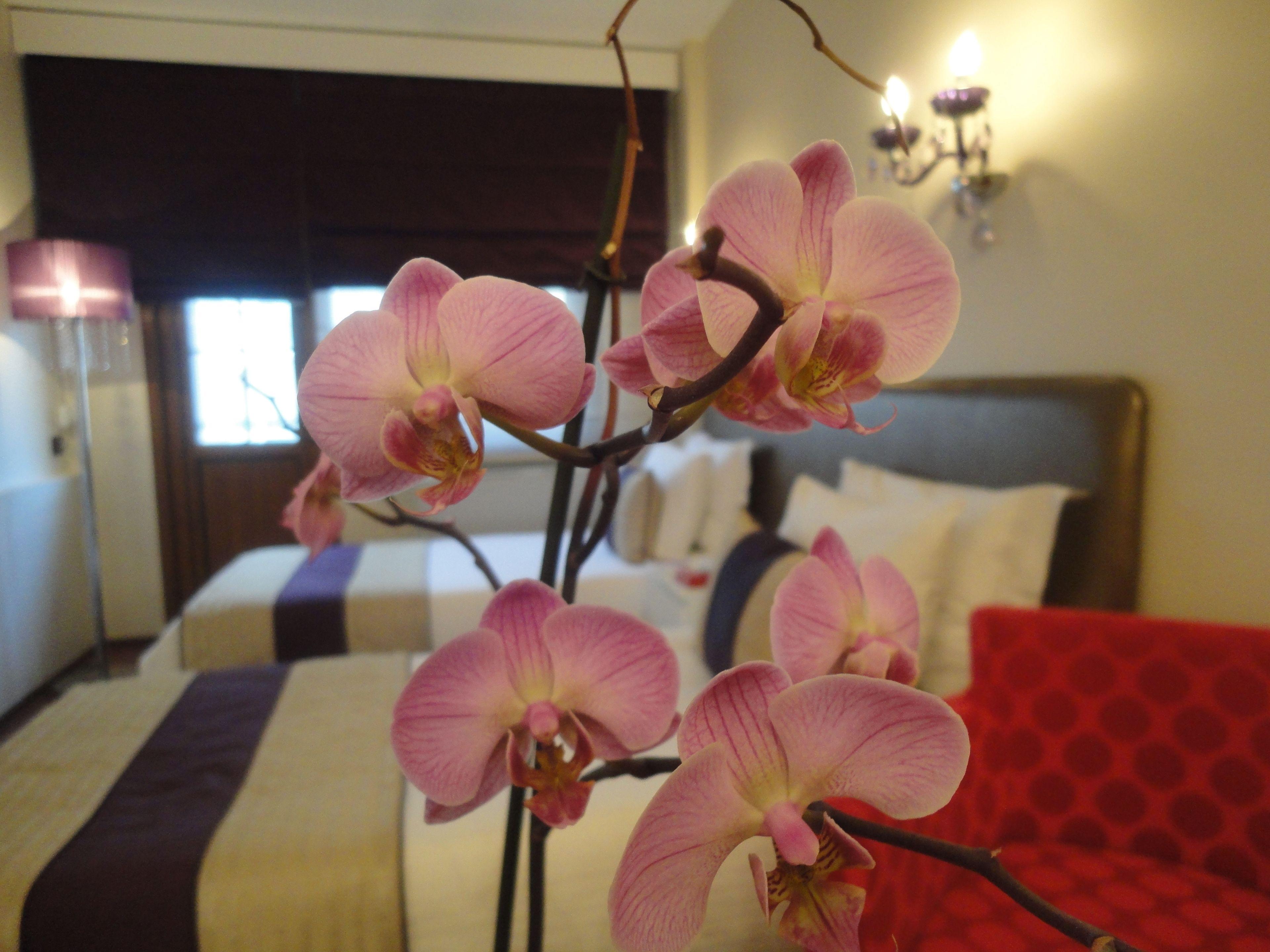 Bakirkoy Tashan Business & Airport Hotel — Photos 3